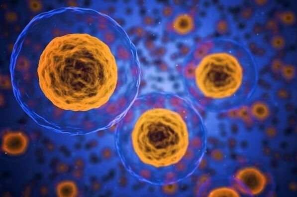 How does the weight loss process take place