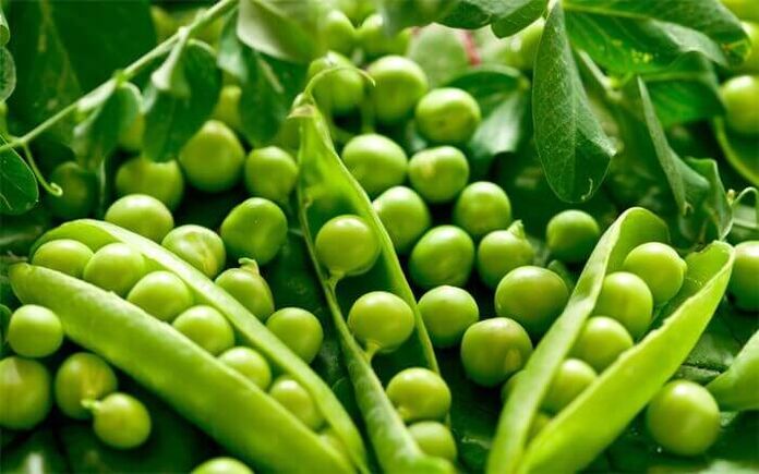 You can include green beans in your menu to treat pancreatitis