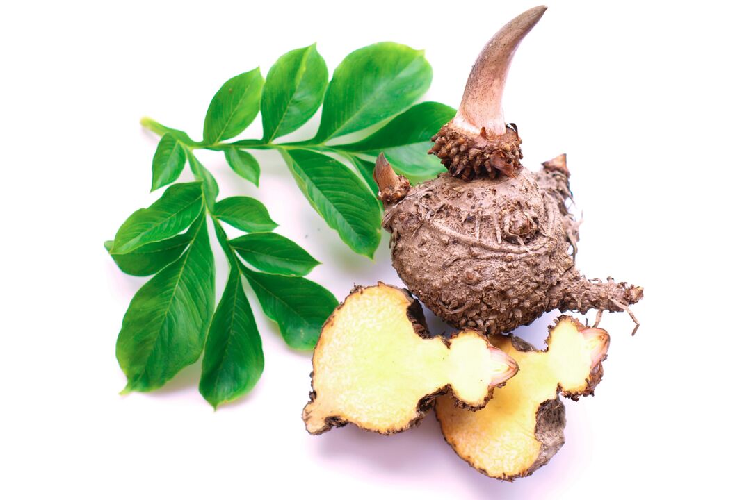 konjac root - ingredients Reduslim